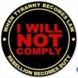 Meet your Posher, Ralph